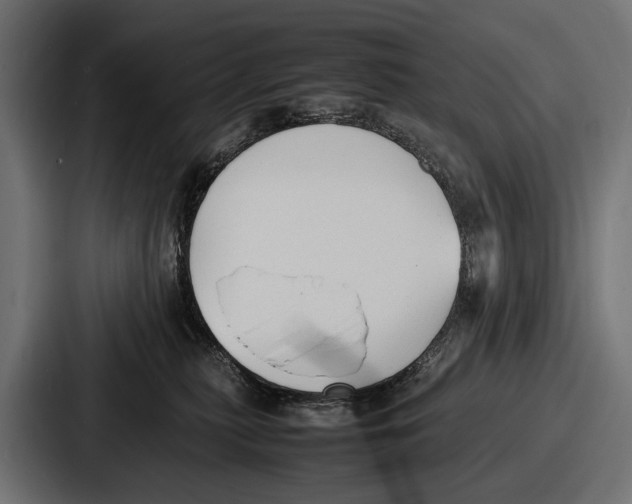 X0000086720279200705111601