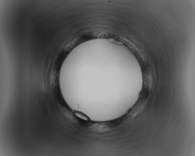 X0000086720280200705111601