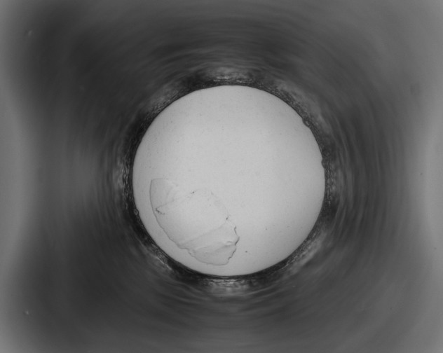 X0000086720281200705111601