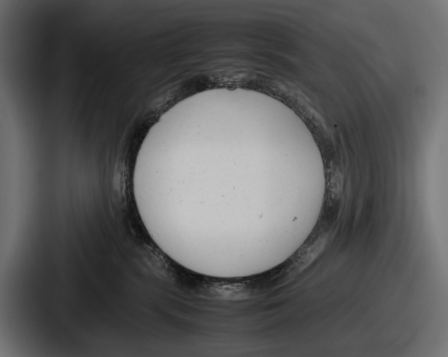 X0000086720283200705111601