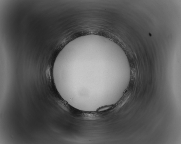 X0000086720286200705111601