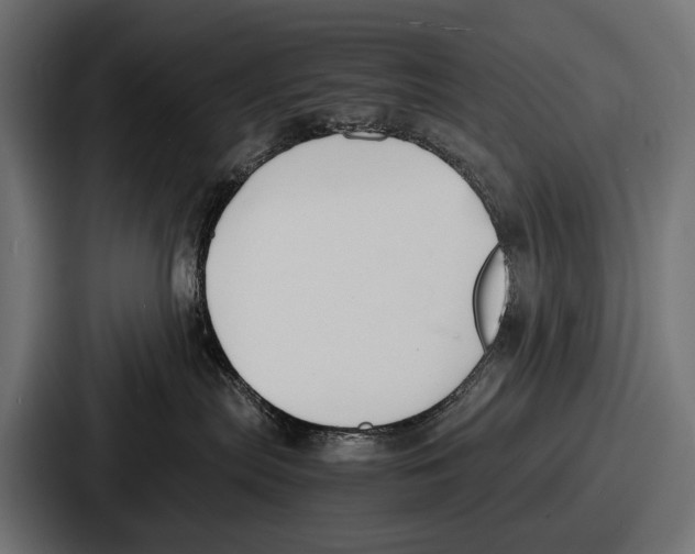 X0000086720287200705111601