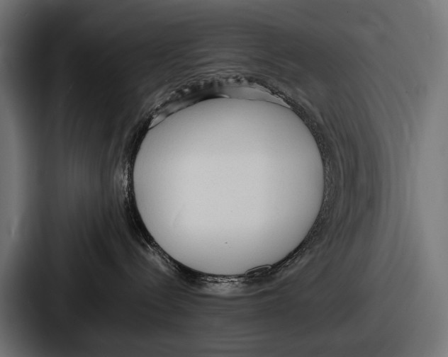 X0000086720288200705111601