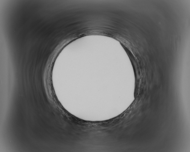 X0000086720289200705111600