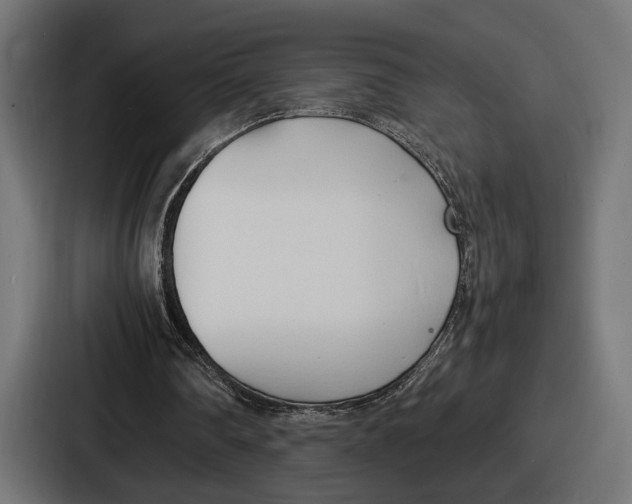 X0000086720290200705111600