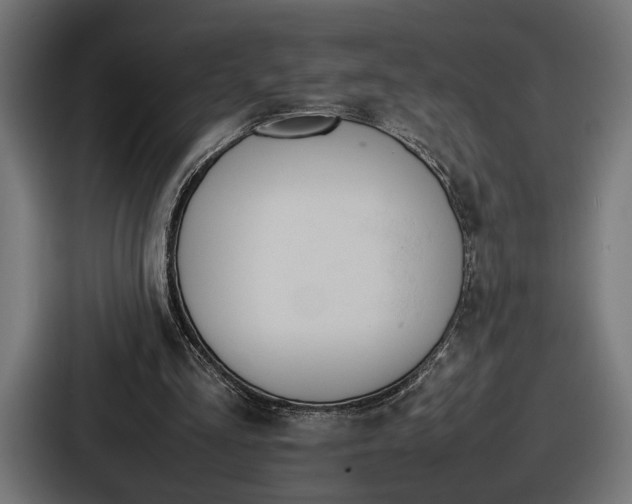 X0000086720293200705111600