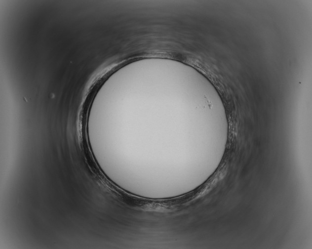 X0000086720294200705111600