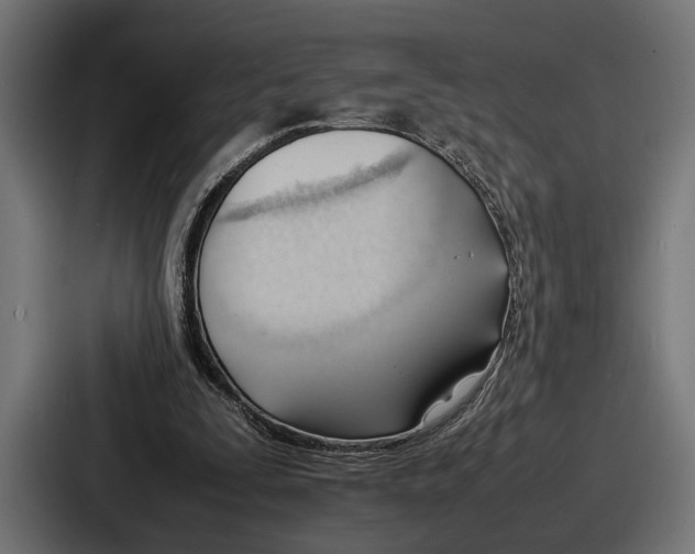 X0000086720295200705111600