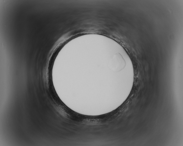 X0000086720296200705111600