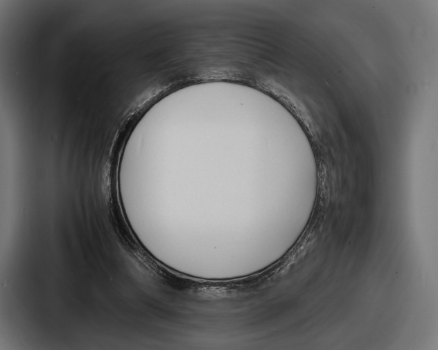 X0000086720298200705111600