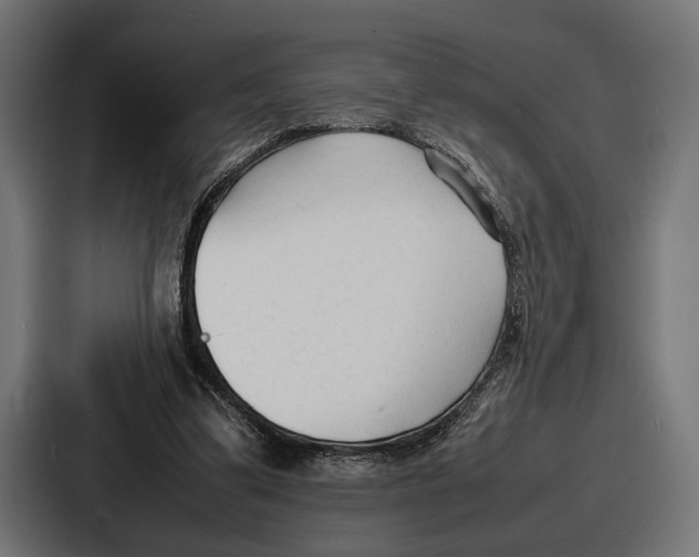 X0000086720299200705111600