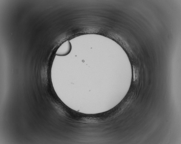 X0000086720300200705111600