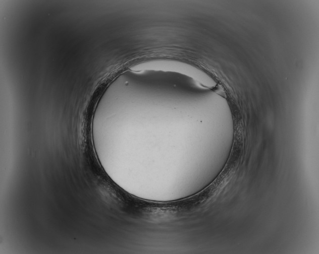 X0000086720303200705111600