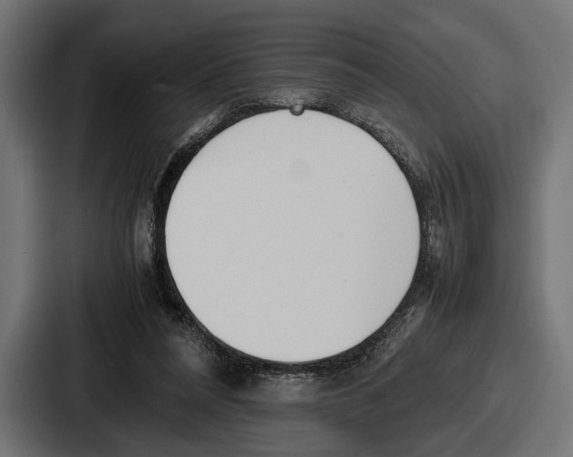 X0000086720304200705111600