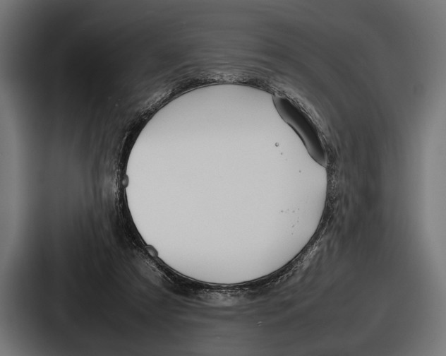 X0000086720305200705111600