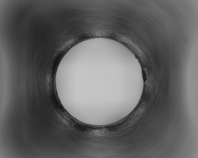 X0000086720306200705111600