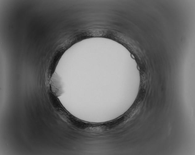 X0000086720307200705111600