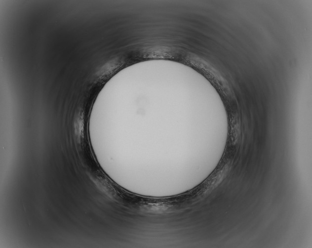 X0000086720310200705111600