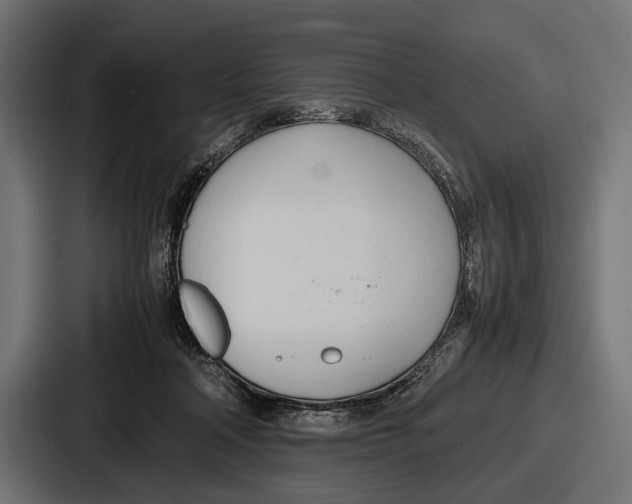 X0000086720314200705111600