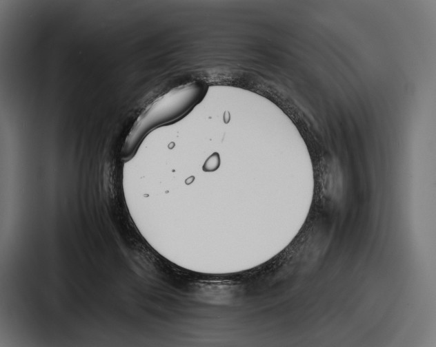 X0000086720316200705111600