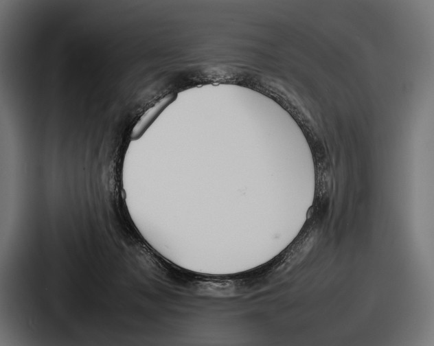 X0000086720317200705111600