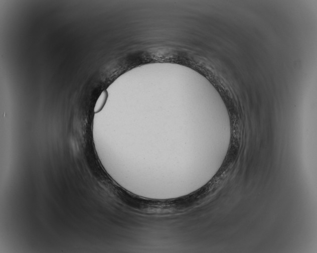 X0000086720319200705111600