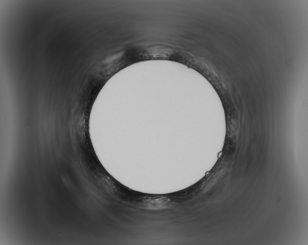 X0000086720321200705111600