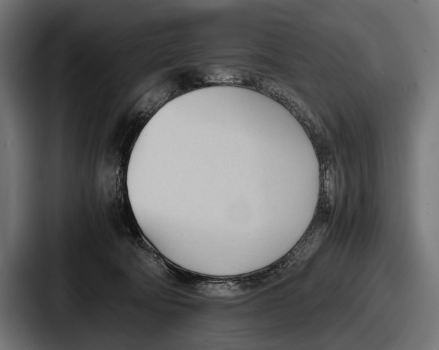 X0000086720322200705111600