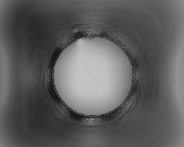 X0000086720323200705111600