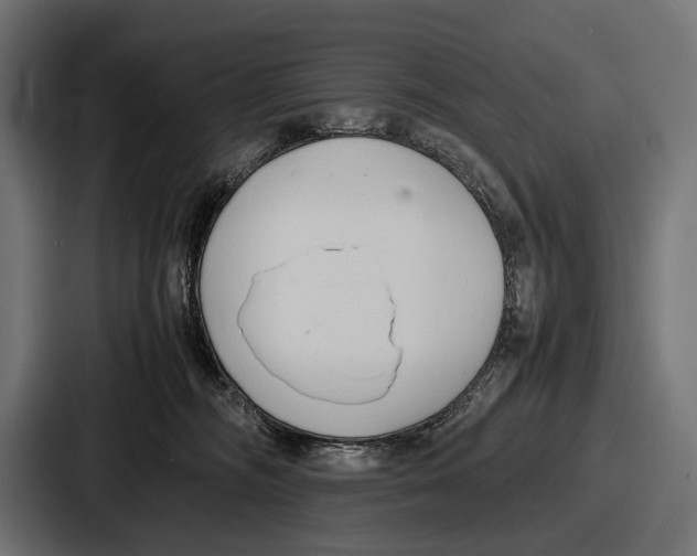 X0000086720326200705111600