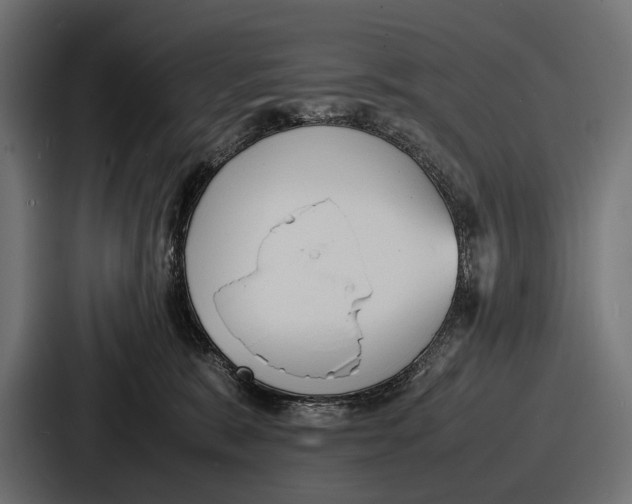 X0000086720327200705111600