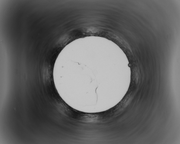 X0000086720328200705111600