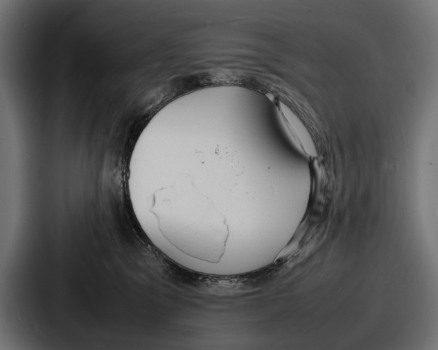 X0000086720329200705111600