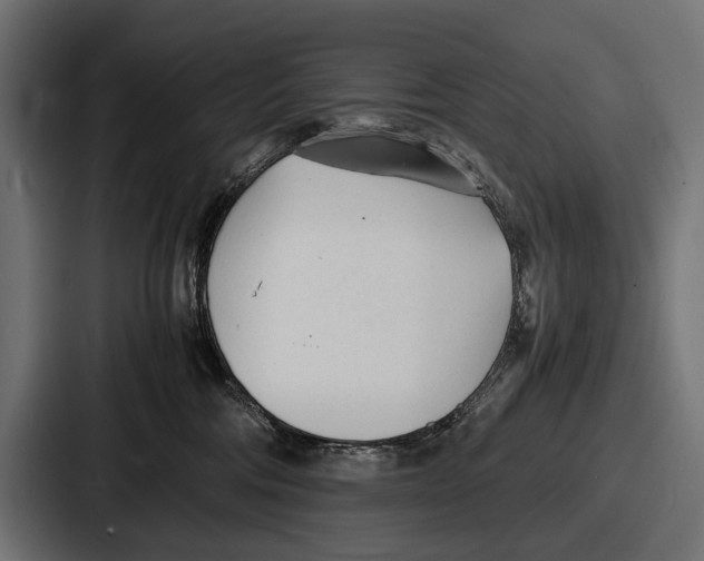 X0000086720330200705111600