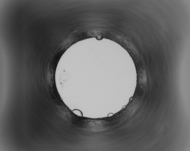 X0000086720332200705111600