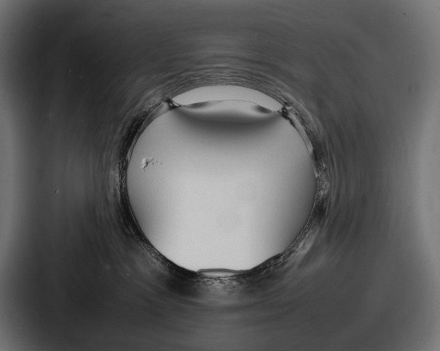 X0000086720333200705111600