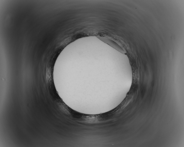 X0000086720335200705111600