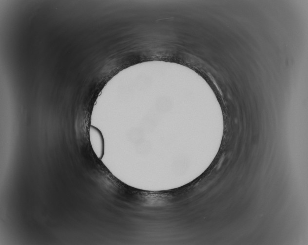 X0000086720336200705111600