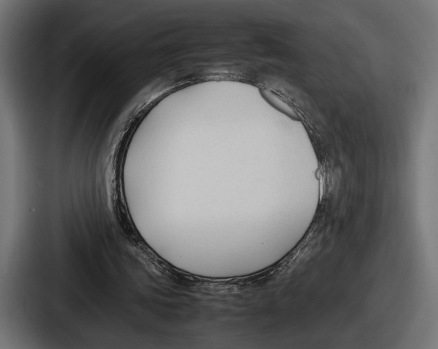 X0000086720339200705111559