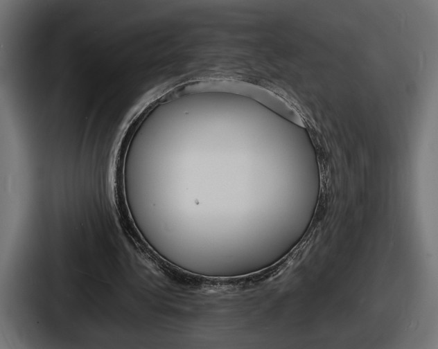 X0000086720340200705111559