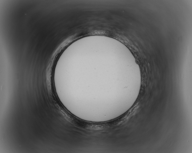 X0000086720341200705111559