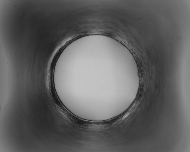 X0000086720342200705111559