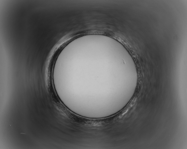 X0000086720343200705111559