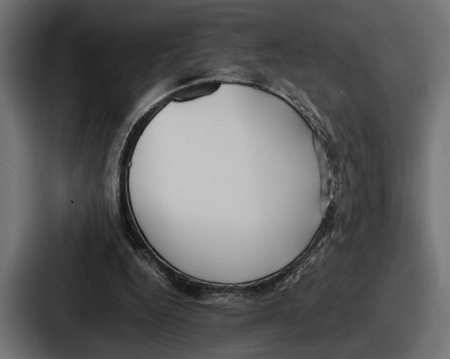 X0000086720344200705111559