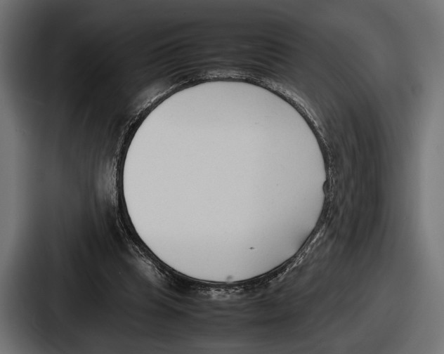 X0000086720345200705111559