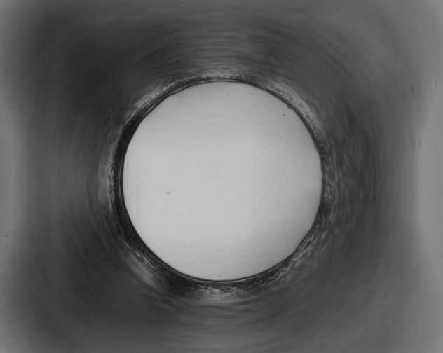 X0000086720346200705111559