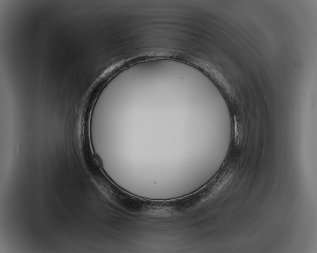 X0000086720348200705111559