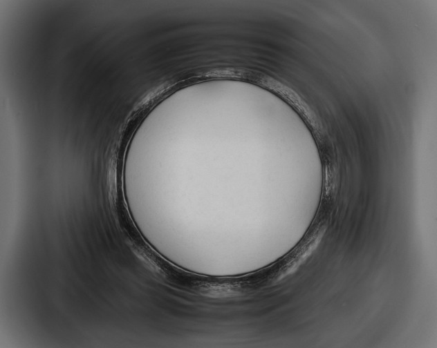 X0000086720349200705111559