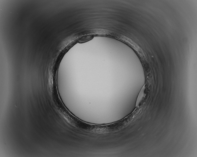 X0000086720350200705111559