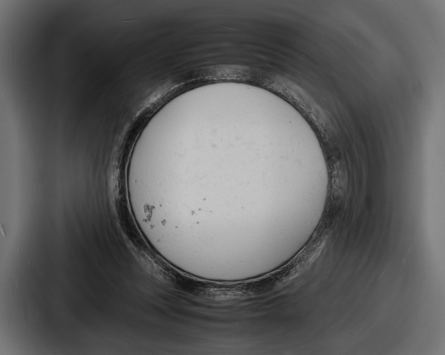 X0000086720351200705111559